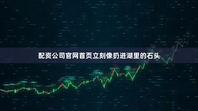 配资公司官网首页立刻像扔进湖里的石头